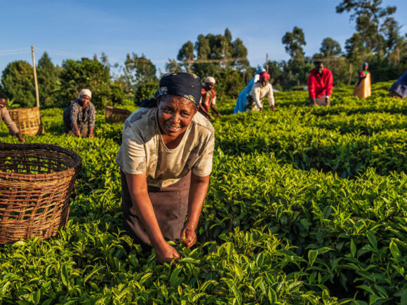 Our Drive: Nurturing Farms, Nurturing Communities!